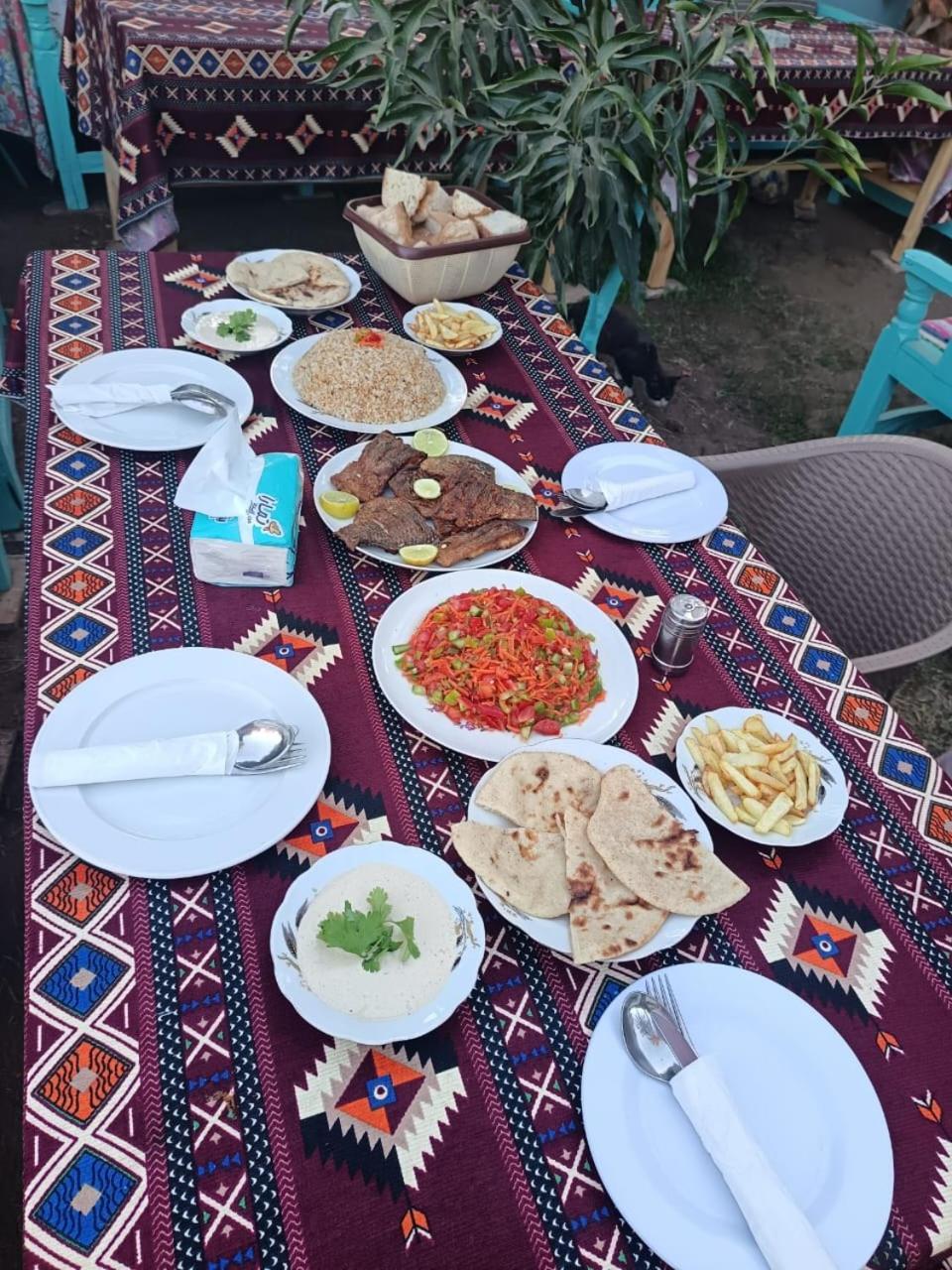 Villa Giulio Luxor Guest House מראה חיצוני תמונה